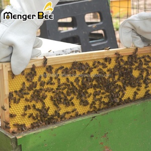 New Menger Bee Honeycomb Beeswax Foundation Deep Frame <b>Plastic</b> Wax <b>Sheets</b> 5.4mm Cell Size 2 Year Warranty Model BS-5 - Product Image 6