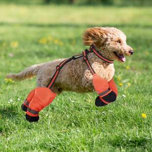 Çok Satan Evcil Köpek Ayakkabıları Kaymaz Dört Mevsim Yeni Su Geçirmez Kir Tutmaz Çekiş İpli Köpek Botları - Product Image 4