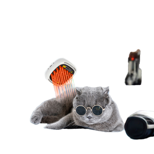 Équipement Laser de bas niveau chat arthrite gestion de la douleur chirurgie vétérinaire récupération Anti-Inflammation Laser en plastique - Product Image 2