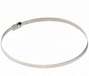 <span class=keywords><strong>316</strong></span> الفولاذ المقاوم للصدأ البريدي رباط للكابل - Product Image 6