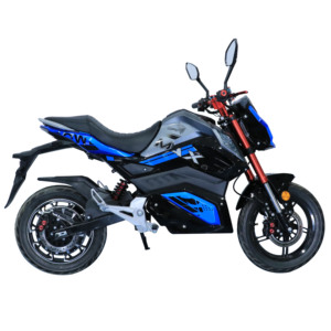 Hochwertiges Elektromotor rad Hochgeschwindigkeits-Blei-Säure-Elektro fahrzeug für Erwachsene Unterstützung Anpassen - Product Image 6