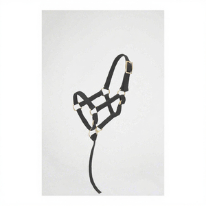 Halter de equitación inglés de alta calidad para polo, equipo de equitación con narquileras acolchadas de tela, para espectáculos y uso multiusos, OEM al por mayor - Product Image 3