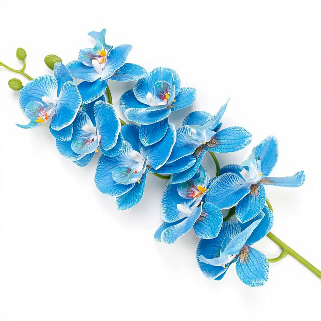 9-head phalaenopsis orchid-gemstone blue