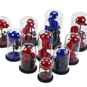 Fiore di Rosa Conservato in Cupola Acrilica, Il Piccolo <span class=keywords><strong>Principe</strong></span>, Regalo Qixi, San Valentino, Festa degli Insegnanti, Regalo Premium di Alta Gamma - Product Image 2