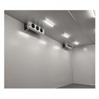 Contenedor Congelador Industrial de 10FT 20FT para Almacenamiento en Frío de Carne, Verduras, Motores y Rodamientos para Compresores