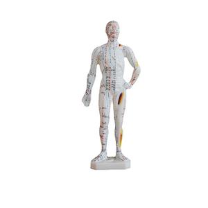 14 मेरिडियन एक्यूपंक्चर पर एक्यूपंक्चर के लिए 38x34 128 इलेक्ट्रिक शिक्षा मॉडल EW-MS-15 - Product Image 5