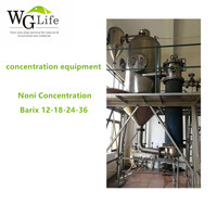 Jus concentré de Noni de Hainan WGlife, Brix personnalisé jusqu'à 36, OEM ODM, directement de l'usine