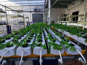 100x50mm NFT Tuyau UPVC Tuyau Hydroponique Canal NFT <span class=keywords><strong>pour</strong></span> La Laitue Céleri Poireau Moutarde - Product Image 5