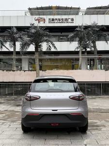 Geely Star Wish Dream Edition 26 con Autonomia di 310 Chilometri - Product Image 6