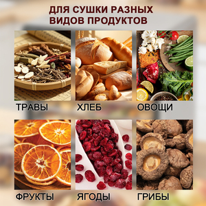 Déshydrateur alimentaire électrique domestique à 6 niveaux avec contrôle de la température, en acier inoxydable, sans BPA, pour fruits et légumes - Product Image 2