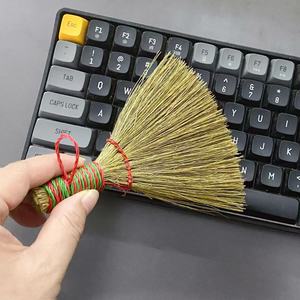 <span class=keywords><strong>Balai</strong></span> en bambou à long manche, herbe de la pampa tressée, doux, pour le nettoyage du salon, élimination de la poussière domestique, disponible en gros dans le Guangxi - Product Image 2