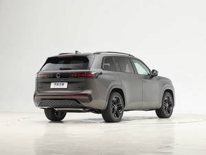 Modelo 2025 para Pro 450TSI 4WD Automático Turbo Nuevo Volante a la Izquierda Euro VI Gasolina/Petróleo Asientos Oscuros Portaequipajes Metálico - Product Image 4