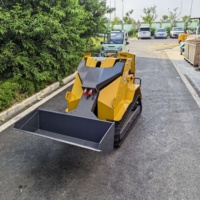 T390 Kompaktlader mit Kettenantrieb, EPA EURO5, 16MPa, 1830mm Ladehöhe, 63 Grad Kippwinkel für Garten und Hof