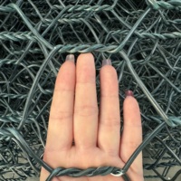 Cage gabion soudée galvanisée avec treillis à mailles losangées anti-escalade pour usage ferroviaire, hauteur 6 pieds