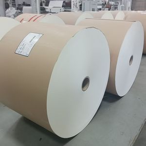 Rollo de Papel Recubierto de PE de Baja Contaminación, Pulpa Virgen, con Certificación de Grado Alimenticio para Comercio Transfronterizo de Papel Base para Vasos - Product Image 4