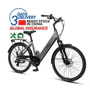 TXED 8-Speed CityBlu Customized Center LCD Panel Electric Bicycle City Bike electric street bike