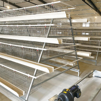 Nouvelle batterie d'élevage de poules pondeuses Yinanchun A-Type en acier galvanisé, 128 poules, 4 niveaux, 4 portes, longue durée de vie, garantie de plus de 8 ans