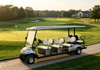 A617.6+2 Vehículo Eléctrico de 8 Plazas para Transporte en Eventos, Bodas y Excursiones Estudiantiles