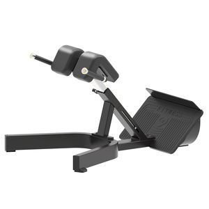 יצרנים לספק כושר ספורט ציוד 45 תואר בגב תחתון תוספות תרגיל ספסל - Product Image 2