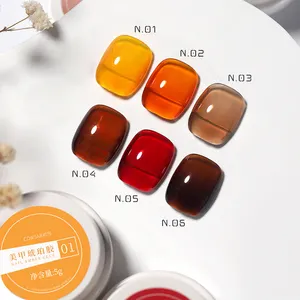 6 Colors 5ML Jelly Amber Gel Nail Polish Translucent Maillard Caramel Soak Off Uv Led Long Lasting Semi Permanent Varnish Gel