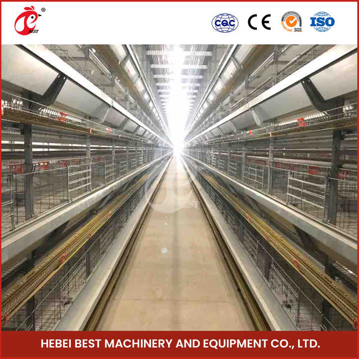 Battery Cages for Poultry Chicken Layer H Type Layer Cages for Sale in ...