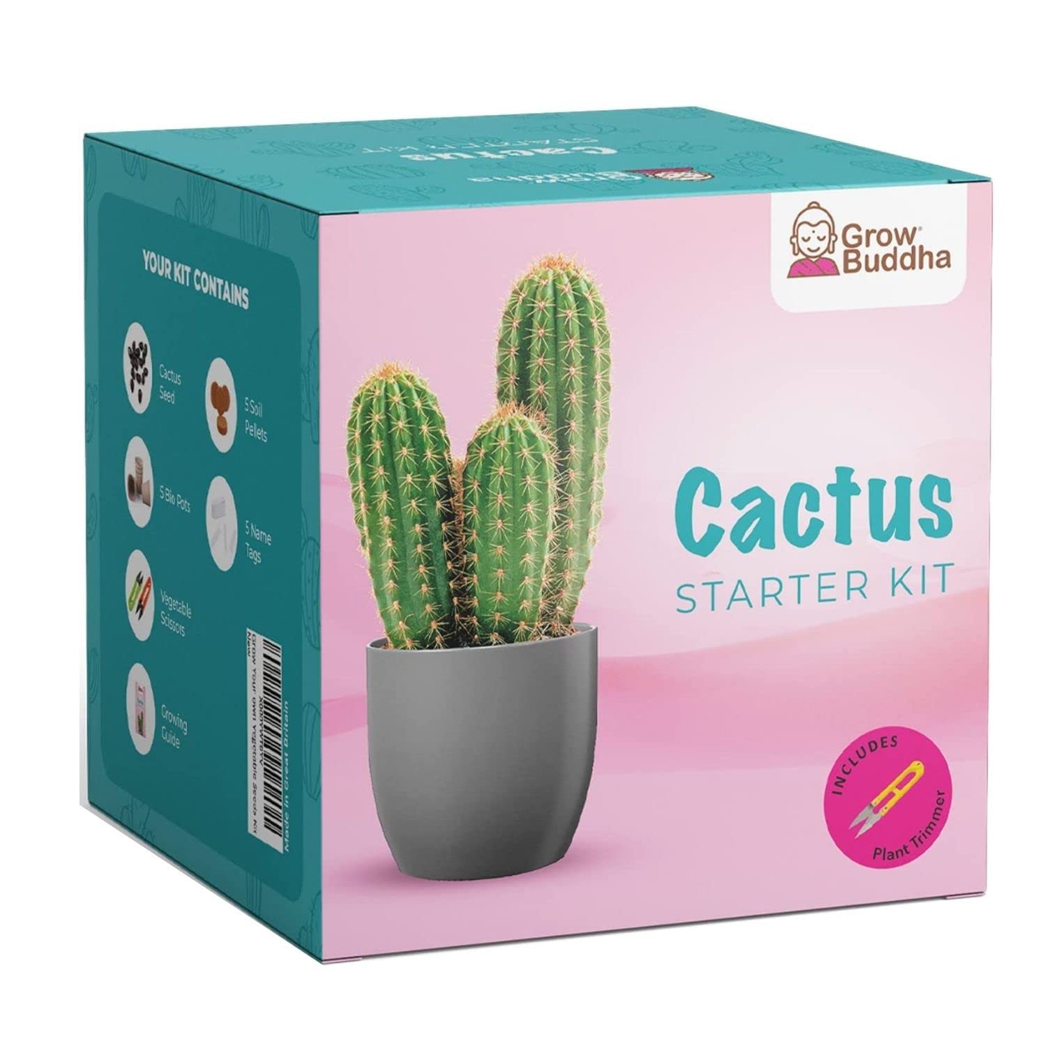 Succulent & Cactus Kit