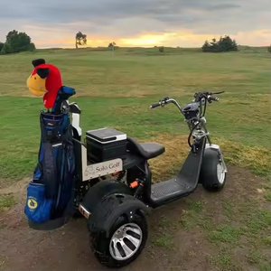 Layor Australie 4000W Scooter de golf électrique 2 <span class=keywords><strong>places</strong></span> à pneus larges, Chariot de golf, Moto électrique, Vélo électrique, Entrepôt US, Chariot de golf - Product Image 5