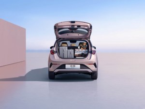 Nuevo Auto 2025 Byd Dolphin Edición Fashion con Conducción Inteligente de 420 km y Batería de Litio, Vehículos Eléctricos en Venta 2025 Byd Dolphin - Product Image 6