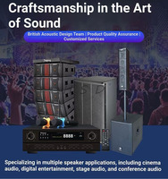 Speaker Line Array Profesional Pro Audio Dual 8 Inch untuk Panggung Konser, Pernikahan, dan Aula Perjamuan, Solusi Sistem Suara