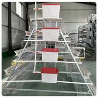 Cage à poulets en acier de type A professionnelle pour l'équipement d'automatisation des élevages de poulets, longue durée de vie