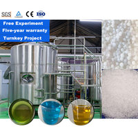 Ligne de production d'engrais liquide en acier inoxydable LANE avec système de fusion de matière première au nitrate de calcium