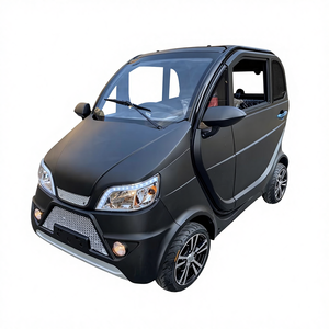 Voiture électrique miniature à carrosserie fermée pour les courses quotidiennes en famille et les trajets de shopping, 2 places - Product Image 1