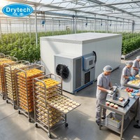 DRYTECH Lange Levensduur Plantain Droogpomp Dehydrator 5.5KW L3200xB2190xH2200mm COC Gecertificeerd 1 Jaar Garantie