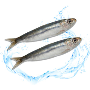 Venta <span class=keywords><strong>de</strong></span> <span class=keywords><strong>sardinas</strong></span> congeladas a granel, todo tipo <span class=keywords><strong>de</strong></span> <span class=keywords><strong>sardinas</strong></span>, mariscos, proveedores, <span class=keywords><strong>precio</strong></span> al por mayor - Product Image 1