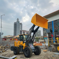 Fabrik preis 4WD Klein traktor Frontlader 4x4 Diesel CE/EPA-zertifizierter chinesischer Radlader mit Lager & Pumpe zum Verkauf