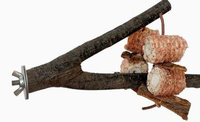Perchoir en Y naturel 2-en-1 pour oiseaux, jouet de forrage en branche de bois avec maïs et noix véritables pour perruches, calopsittes et conures à mâcher
