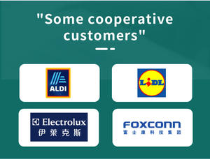 Moderne Nylon PE Zevenlaags Co-extruded Vochtbestendige Voedsel Vacuümzak Rol 28cmX5m 2 Rollen BPA Vrij Verzegeld Geprefeld Premium - Product Image 6