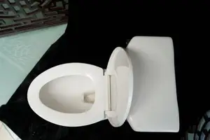 Hot Selling Custom Logo Flush Silent Ceramic Wc 2 Piece Toilet For Hotel