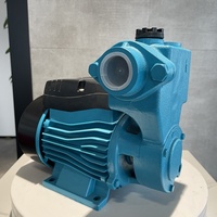 Pompe périphérique électrique de haute qualité 1 HP pompe de surpression à eau auto-amorçante
