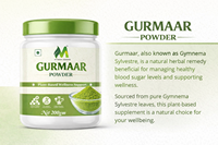 Poudre de Gurmaar pure, extrait végétal, complément alimentaire naturel à base de plantes pour le soutien de la glycémie, la gestion du poids et le bien-être général