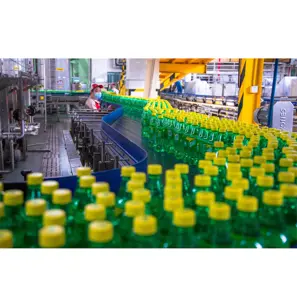 Embotelladora automática de agua con sabor Línea de producción de agua de soda de botella pequeña Máquina de llenado de bebidas carbonatadas