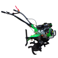 MeiQi — mini moteur à essence 7hp 170-2bb, livraison gratuite