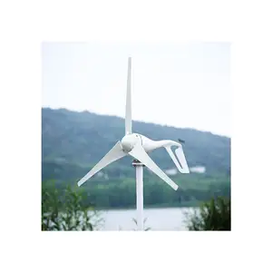 Alternative Energy Aluminum Alloy Shell 300W 1KW 2KW 12V Small Horizontal Wind Turbine For Home Use