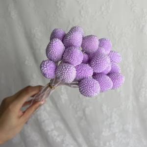 10 pièces/lot Fleurs séchées naturelles colorées <span class=keywords><strong>rouge</strong></span> <span class=keywords><strong>cerise</strong></span> pour arrangements floraux DIY de remise de diplôme, préservées <span class=keywords><strong>et</strong></span> longue durée - Product Image 5