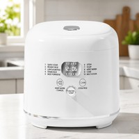 Autocuiseur intelligent 5L en acier inoxydable à faible teneur en sucre, avec cuve antiadhésive et contrôle numérique du minuterie, pour la maison - Nouvelle collection 2026 de haute qualité