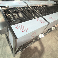 YOUBAN Fabrieks Prijs RVS Gewichtssorteermachine Automatische Fruitgewichtsgrader voor de Landbouwsector
