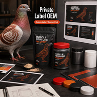 Électrolytes Premium pour Pigeons de Course : Réhydratation Rapide, Récupération Post-Compétition et Réparation Musculaire – Marque Privée, Source OEM, Laboratoire