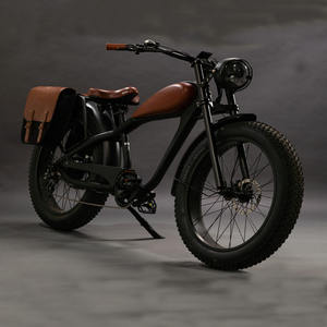 2025 नई अनुकूलित पावर विंटेज मिश्र धातु फ्रेम 36 वी 250w 120 किमी हाइड्रोलिक डिस्क ब्रेक दो लिथियम बैटरी इलेक्ट्रिक बाइक - Product Image 1