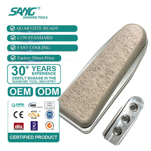 Bloque de Pulido Abrasivo SANG L170 con Base de Aluminio y Diamante Fickert para Línea de Pulido Automático de Granito y Cuarcita - Product Image 1