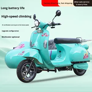 Motocicleta Eléctrica de Tres Ruedas con Sidecar Rome Holiday, Scooter Baga para Turismo y Desplazamientos, 40-50 km/h, Autonomía de más de 65 km - Product Image 3